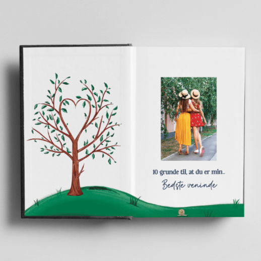 Skærmbillede (1304)